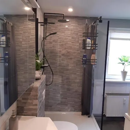 Apartment Harz-forest-inn Goslar