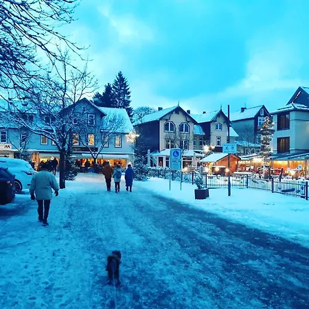 Harz-forest-inn * Goslar
