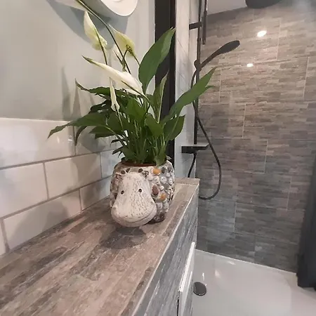 Harz-forest-inn Apartment