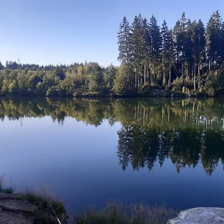 Apartment Harz-forest-inn *