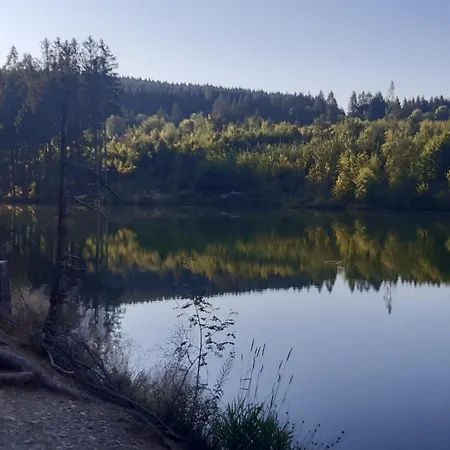 Harz-forest-inn Apartment Goslar