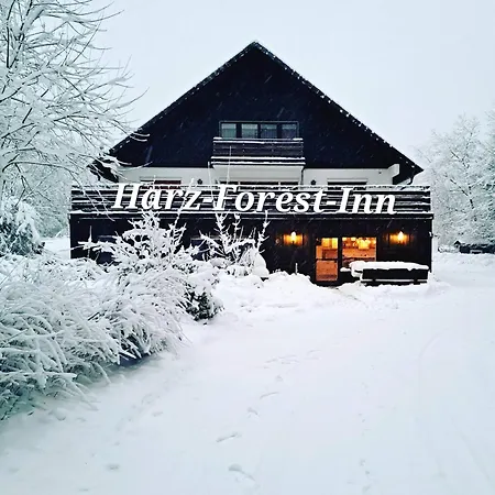 Harz-forest-inn Goslar
